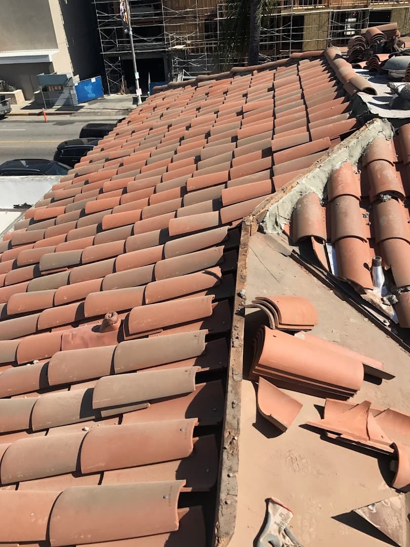 Scraped image from Google Maps