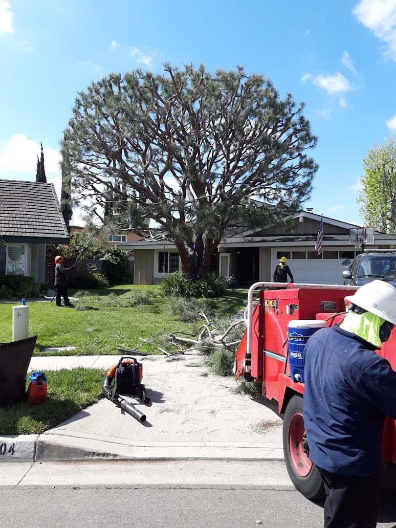 Unique Tree Service image 1